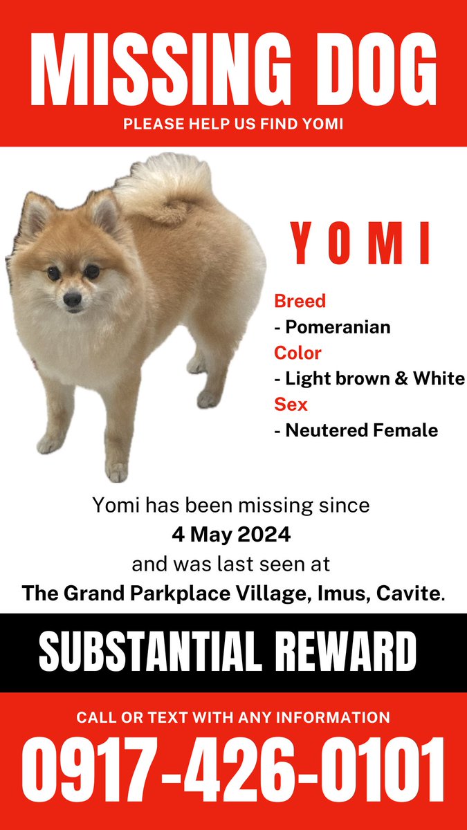 ‼️ MISSING DOG, PLS HELP RT ‼️ Name: Yomi Breed: Pomeranian, light brown and white, Neutered Female Last Seen: 4 May 2024, The grand parkplace village, Imus, Cavite