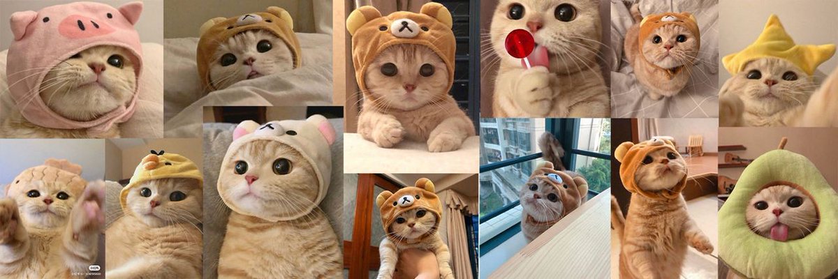 JiaSolana's tweet photo. @shahh $JIA
https://t.co/1k8Yg4zXLj
https://t.co/rfMJPgxVFj https://t.co/9KXv5x4hv9