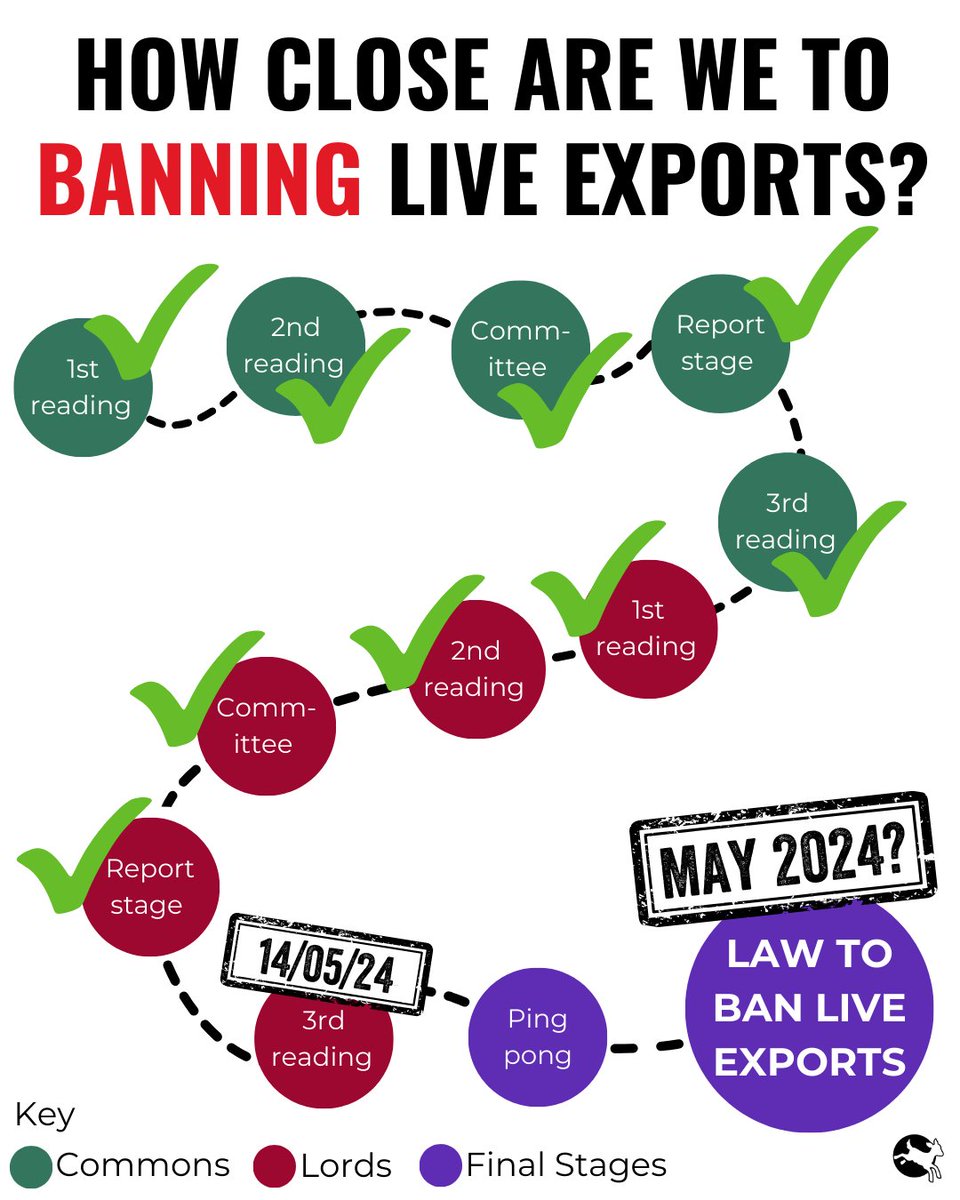 If all goes well there's just one more stage to go before the Bill completes its passage through Parliament. We've got our fingers crossed that we'll be able to bring you really exciting news next week.🤞 To everyone who's campaigned tirelessly to #BanLiveExports, THANK YOU.💚