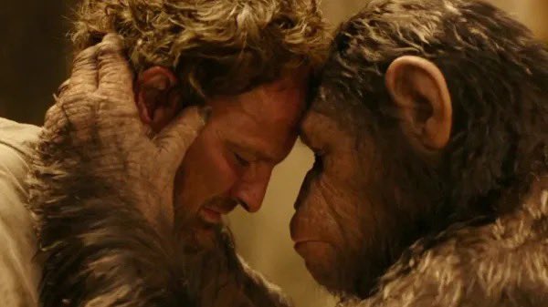 Revisited DAWN OF THE PLANET OF THE APES & I know this is my own bias talking but I truly think it’s in the top 10 movies of the 2010s, regardless of genre. Impeccable storytelling, compelling performances, and wonderfully orchestrated set pieces. What a film!