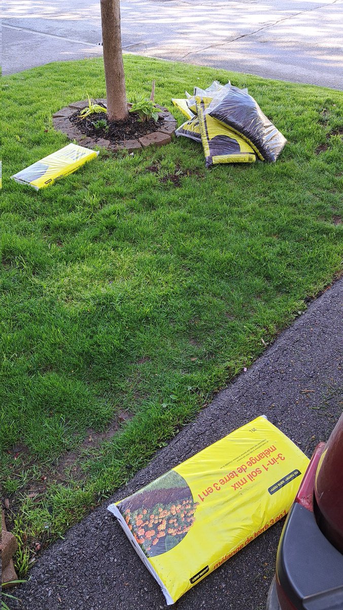 Time To Fix Up These Front Gardens:
Iris
Iceland Poppies
Various Hostas
Peonies
Russian Sage
Lavender
Shasta Daisy
Blue Mist
Native Grass
Lily of the Valley
White Lily
Ranunculus
Black Eyed Susans
Cracker Jack Marigolds
Morning Glories

#handsindirt #happyplace #greenthumb