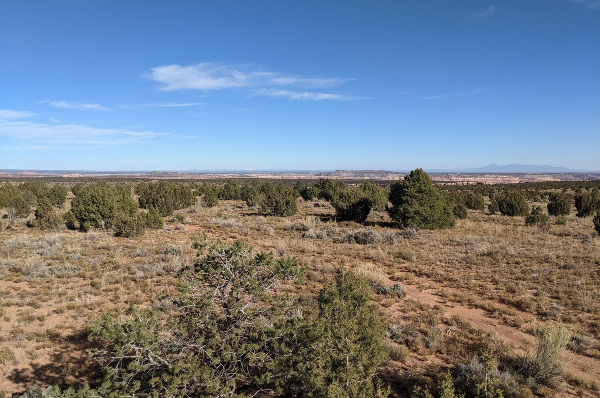 American Meteorological Society (@ametsoc) on Twitter photo Drylands in the western United States are currently in the grips of a 23-year “megadrought,” and <a href="/WestVirginiaU/">WVU Mountaineers · Let's Go!</a> researcher <a href="/KannenbergSteve/">Steve Kannenberg</a> is working to gain a better understanding of this extreme climate event.
Read more about his study: bit.ly/3Ws22ge Drylands in the western United States are currently in the grips of a 23-year “megadrought,” and <a href="/WestVirginiaU/">WVU Mountaineers · Let's Go!</a> researcher <a href="/KannenbergSteve/">Steve Kannenberg</a> is working to gain a better understanding of this extreme climate event.
Read more about his study: bit.ly/3Ws22ge