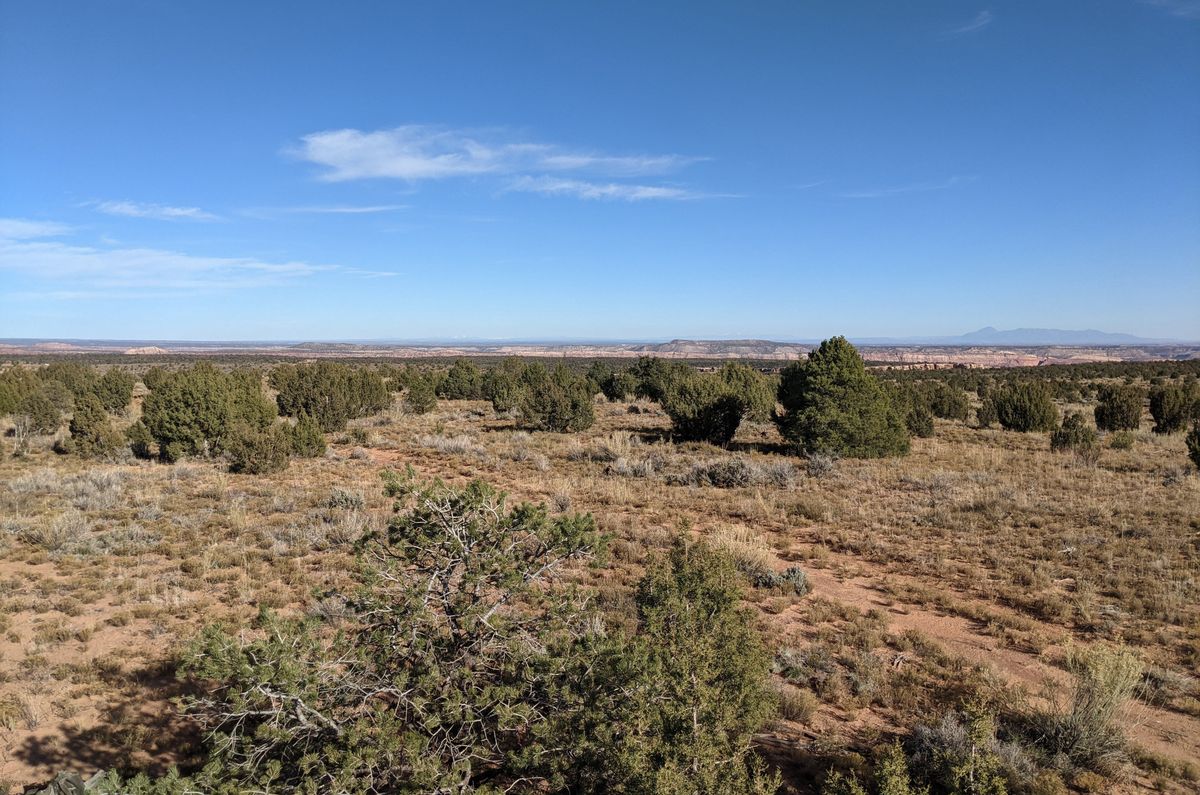 Drylands in the western United States are currently in the grips of a 23-year “megadrought,” and @WestVirginiaU researcher @KannenbergSteve is working to gain a better understanding of this extreme climate event. Read more about his study: bit.ly/3Ws22ge