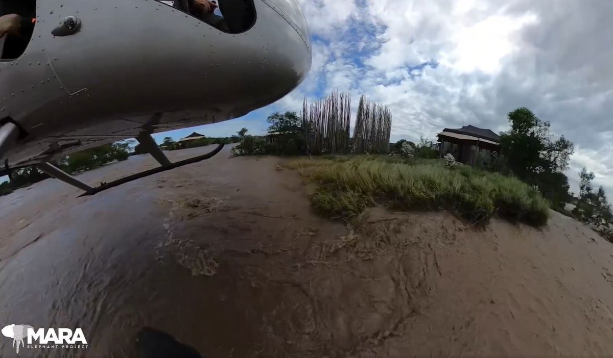 A year ago, Focused Conservation joined forces with the Mara Elephant Project (MEP) to provide vital water rescue training for MEP rangers. This week, the region is facing devastating flooding. In response, the MEP team sprang into action, conducting rescues that saved lives.