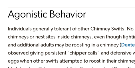 Chaney Swiney tweet media