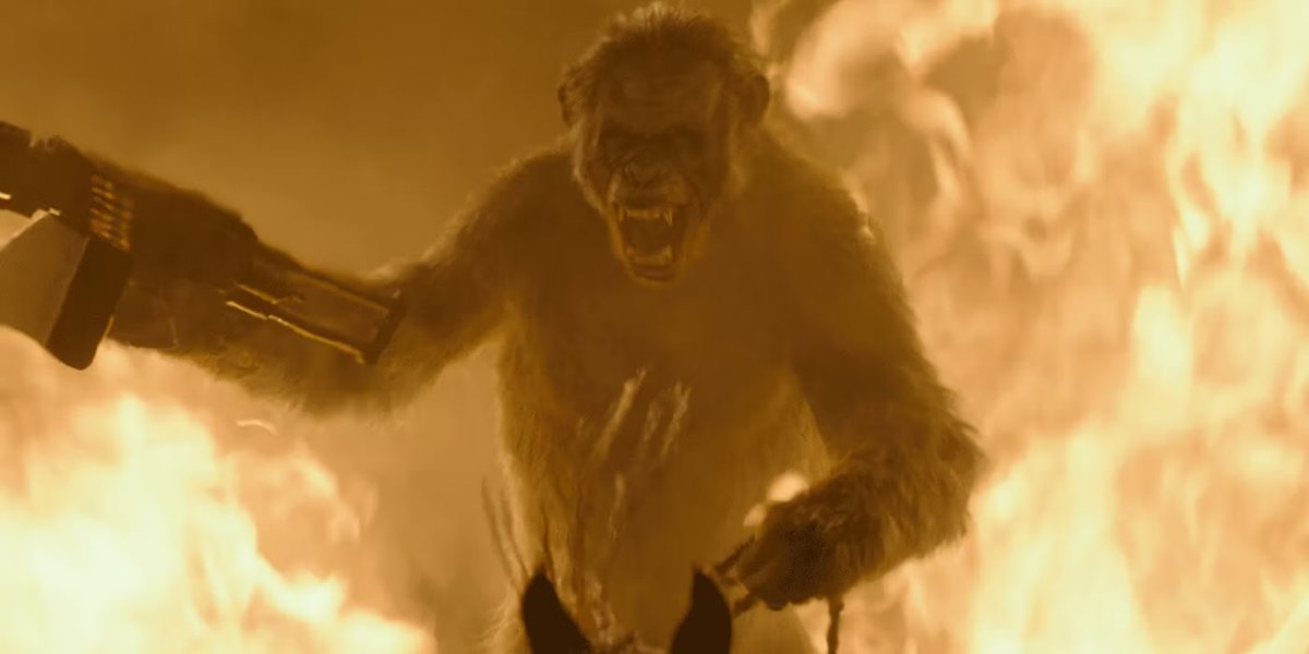 There’s been a lot of talk over the years about Andy Serkis as Caesar (for good reason of course!) but Toby Kebbell’s performance as Koba is truly masterful too & should be celebrated as well. I love that he also played Kong in SKULL ISLAND (he was also great on SERVANT).