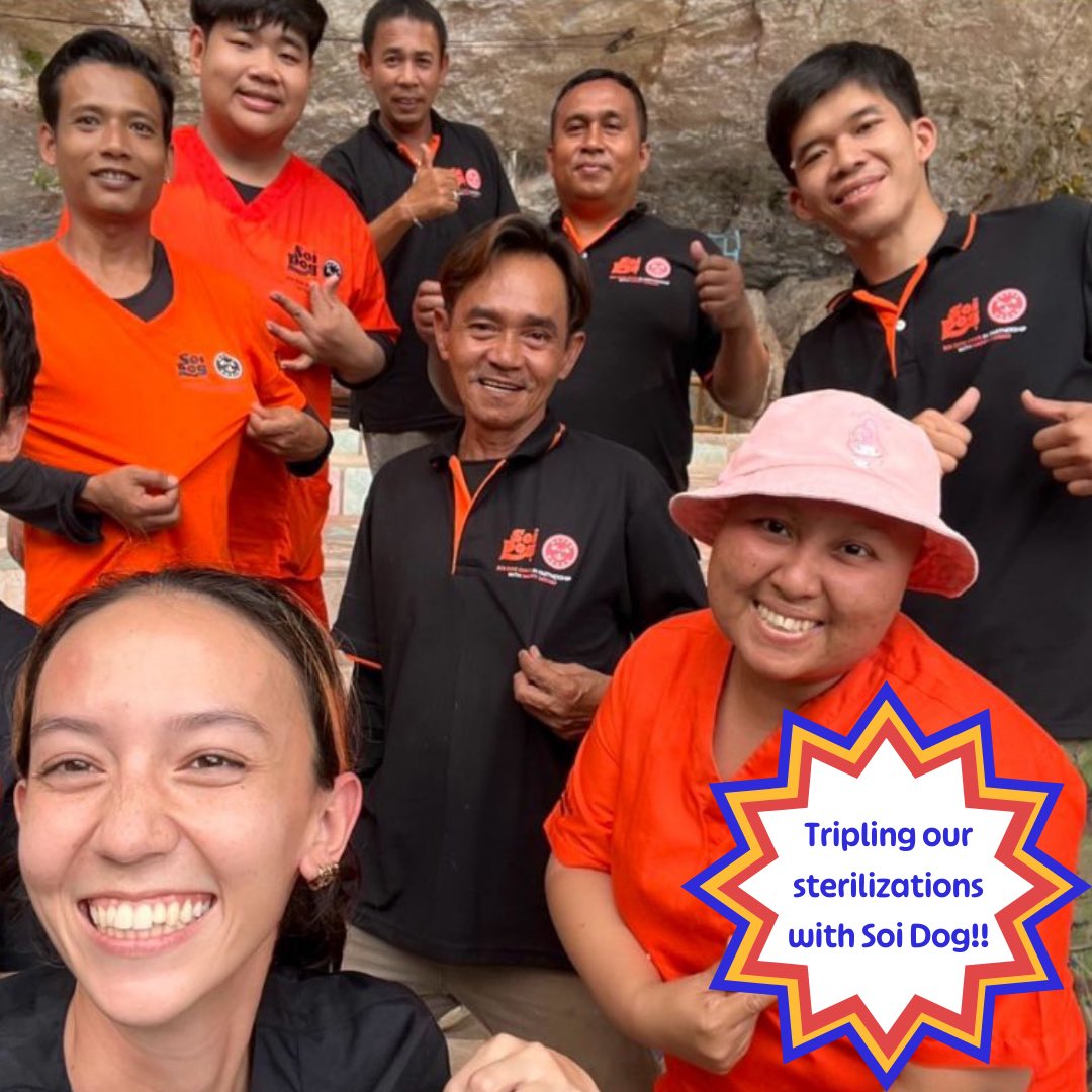 One of our partners is the amazing @SoiDogPhuket . We have partnered with them already but today we triple the size of that partnership… 🛻 6 mobile teams on the road by end of year ✂️ Dozens of staff including vets and dog catchers 23,400 operations funded in 2024 (3/7)
