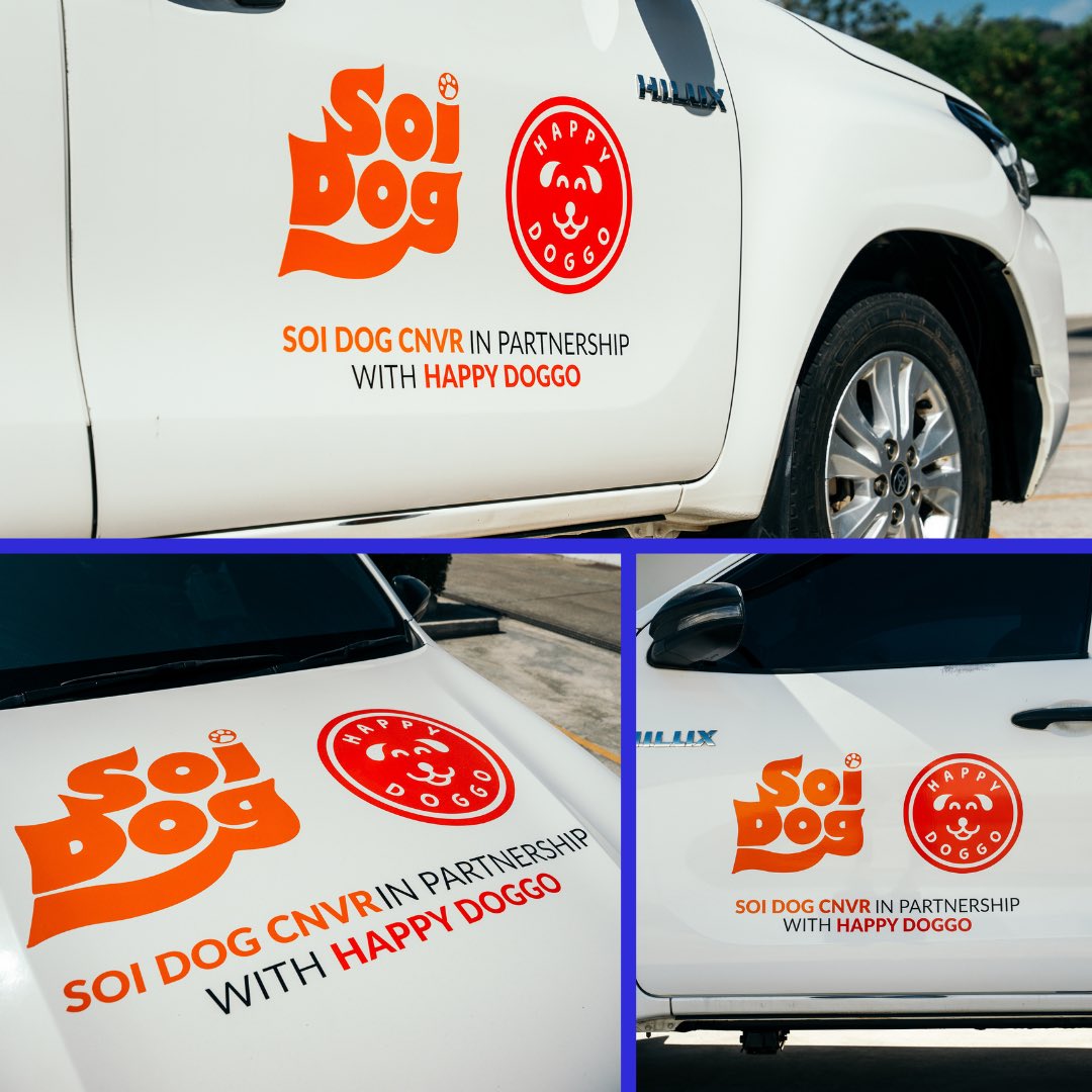 NiallHarbison's tweet photo. Imma huge believer in working together with other great organizations to fix this problem. I can’t do this alone. Nobody can. 

My mission is to cut street dog numbers by 50% in my lifetime from 500 million to 250 million. Not easy (6/7) https://t.co/phksdsN3OO