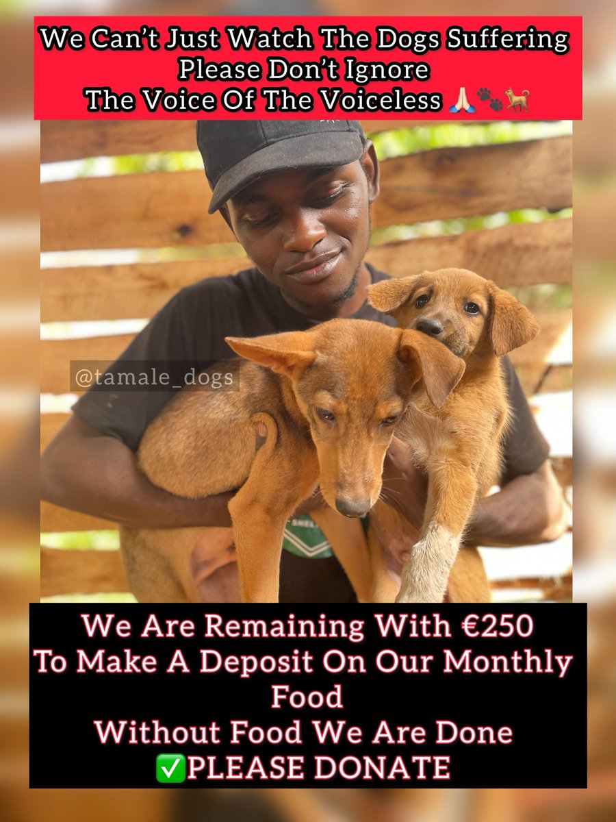 Every contribution matters ✅. Please consider donating to help these innocent animals in need. Together, we can provide them with the care and nourishment they deserve. Let’s stand together to support our furry friends in need 🐾🐕. #VoiceOfTheVoiceless #AnimalWelfare #DonateNow