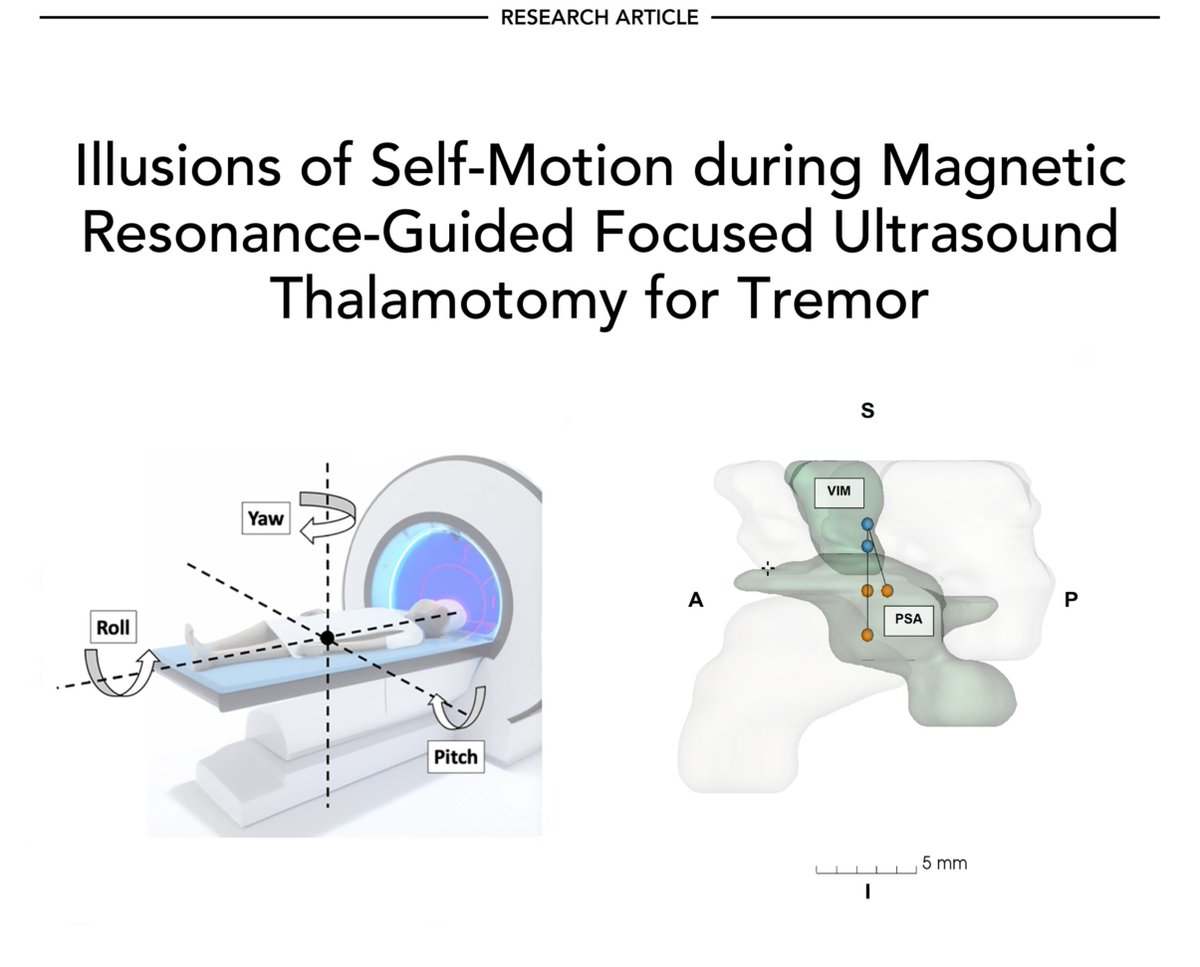 Matteo Ciocca tweet media