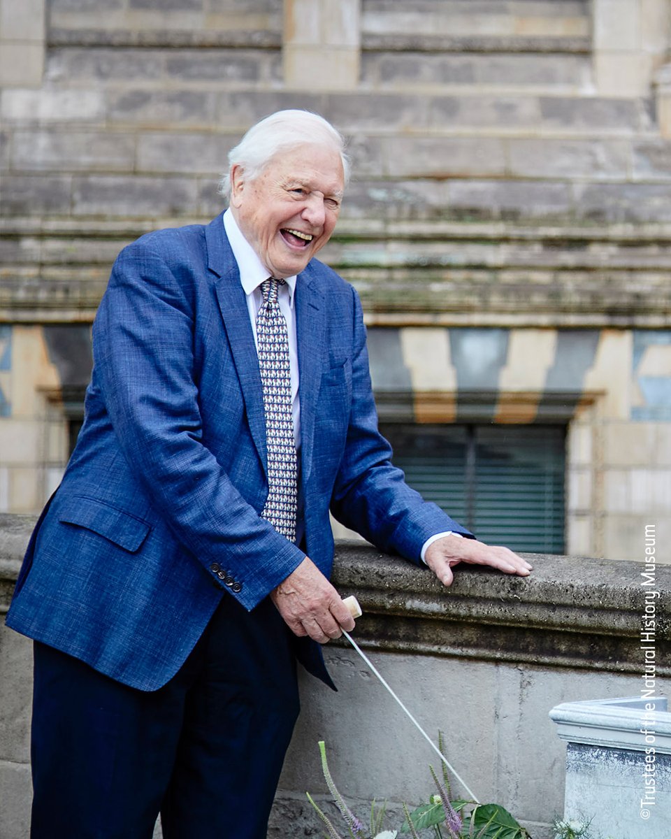 Happy 98th Birthday to the inspiring Sir David Attenborough! 🌎 In his own words engraved outside our main entrance 👉 'The future of the natural world, on which we all depend, is in our hands' 💚