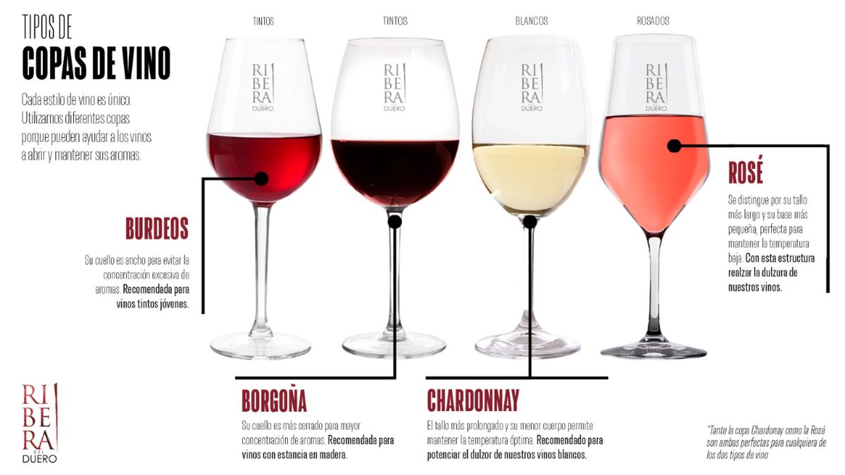 El tipo de copa puede transformar por completo tu experiencia con el vino. Cada forma y tamaño influyen en cómo percibimos sus aromas y sabores. ¿Ya tienes tu copa favorita? Cuéntanos 😎 #riberadelduero #vinos #winelovers #infografías