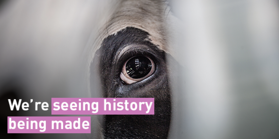 The Animal Welfare (Livestock Exports) Bill has now completed its Report Stage in the House of Lords!

We are so close to seeing innocent farmed animals protected from the brutality of live exports!

#BanLiveExports