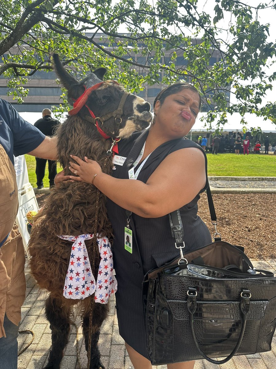 Now that I’m married, I’m done kissing frogs, but nobody said anything about kissing llamas. #ncga #ncpol