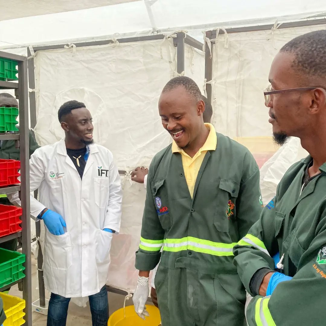 Today we paid @SEHubke a visit to their site, where their Black Soldier Fly project is located. The project has an aspect of #circulareconomy where they use waste for rearing larvae then the larvae are used as feeds for poultry and fish at the same time fertilizers for crops.