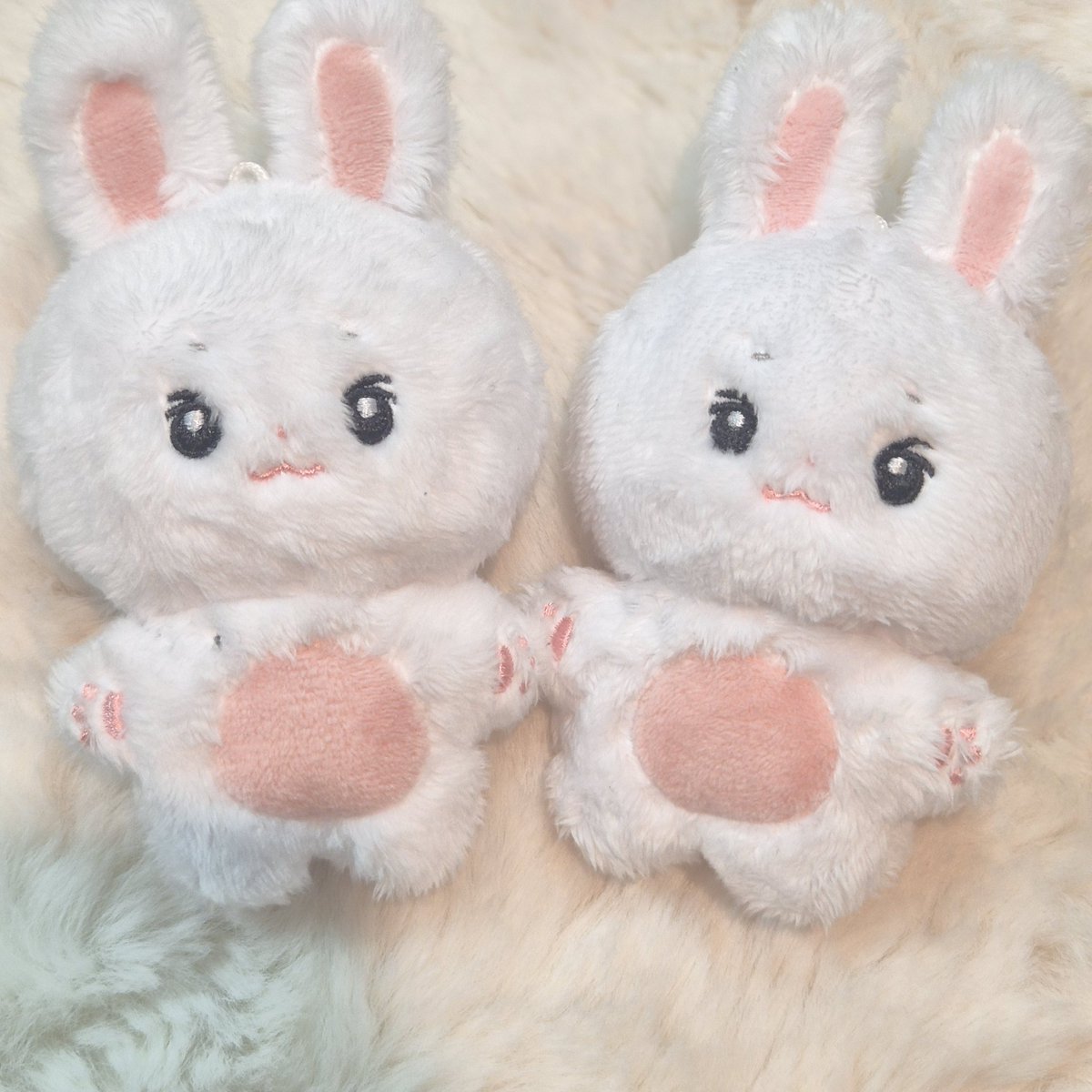 AnimalTWS0122's tweet photo. 1, 2차 샘플 안내드립니다!!

첫번째 사진은 1, 2차 모두 이고
두번째 사진은 훈아지 왼쪽 1차 오른쪽 2차 
세번째 사진은 한쫑이 왼쪽 1차 오른쪽 2차 
입니다!!

1차, 2차 중 선택 또는 3차 샘플 진행 으로 투표 부탁드립니다!! https://t.co/Yq8zFkl0QD