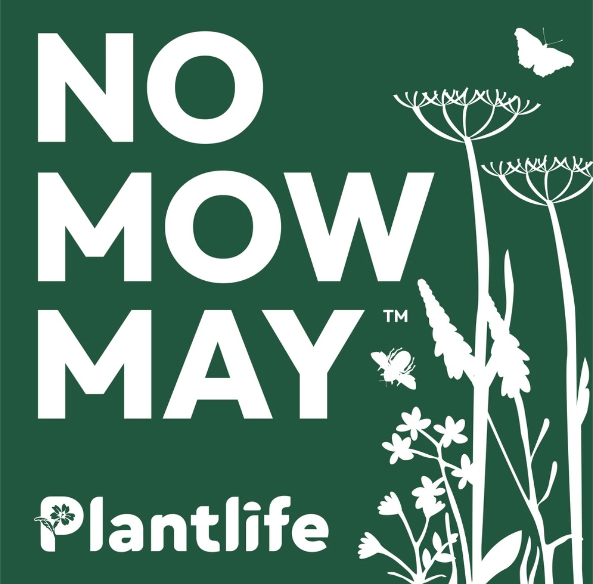 @UHP_NHS is taking part in @Love_plants 's campaign #NoMowMay ! The daisies are already a feast for pollinators and Sven the Sustainability Seal of Approval would give us the thumbs up if he could 🦭