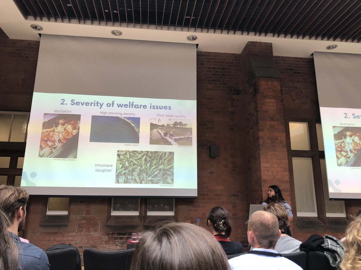 Penultimate talk of the day from  @UrjaThakrar discussing the need for welfare scientists to collaborate with environmental scientists within aquaculture #AWRN2024
