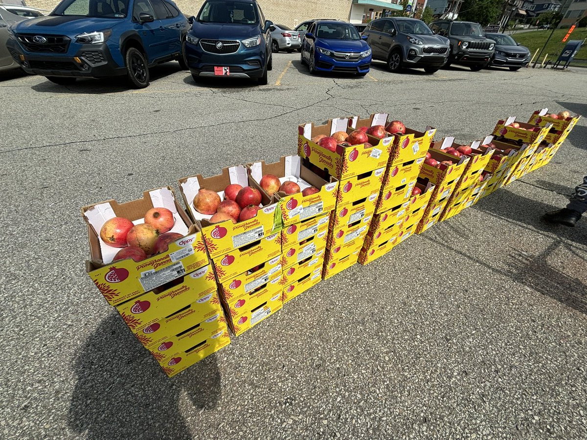 On Tuesday we rescued all the pomegranates!