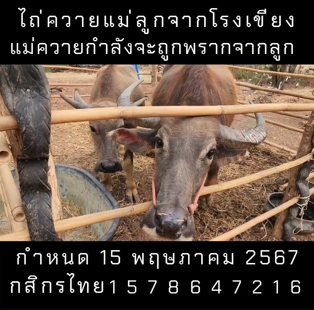 กระดานบอกบุญ tweet media