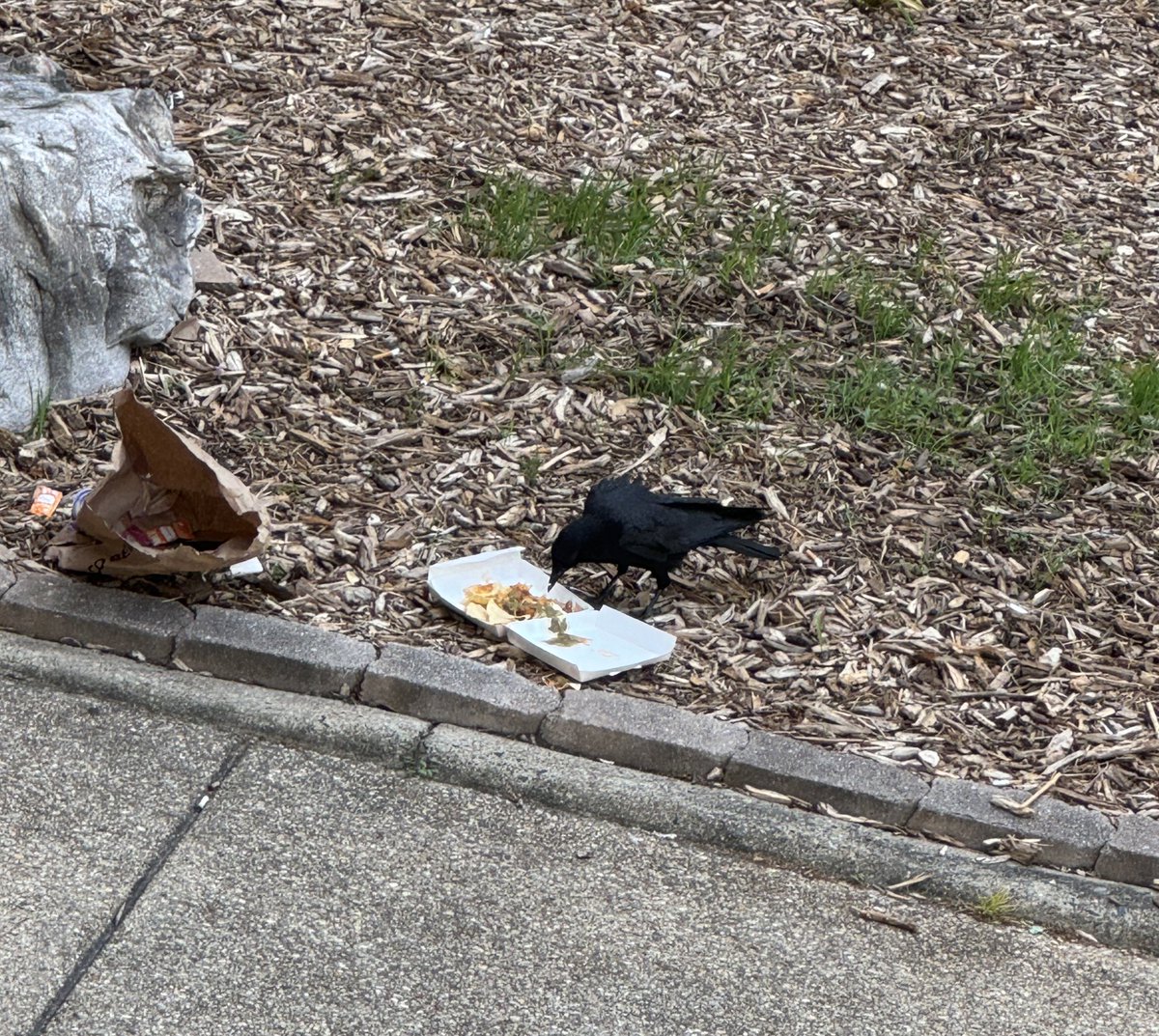 kirbyap3's tweet image. I also like overnight taco bell nachos