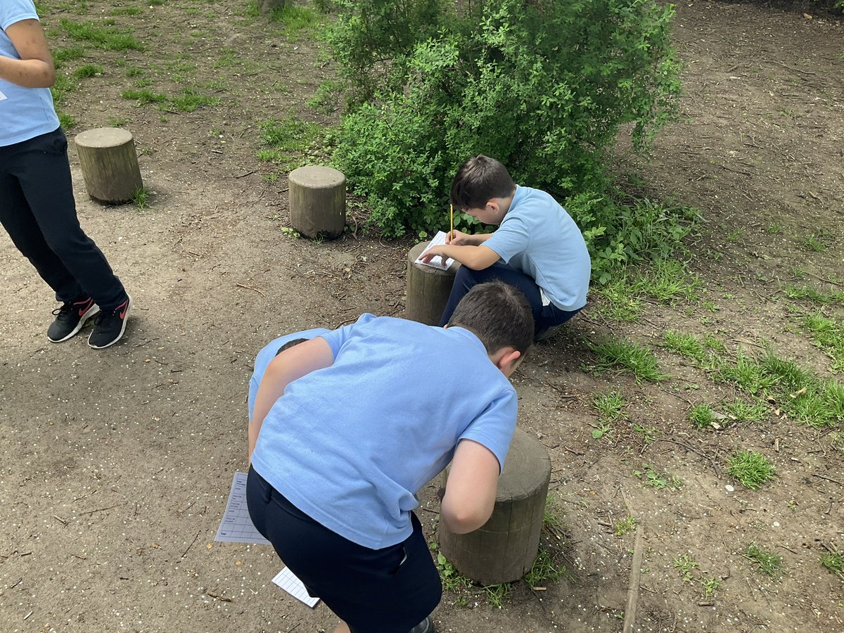 StBernardsep's tweet photo. Team 4 are looking for different creatures that live in micro habitats and thinking about how they adapt to their
environment #stbScience https://t.co/MwPqUnu1Rw