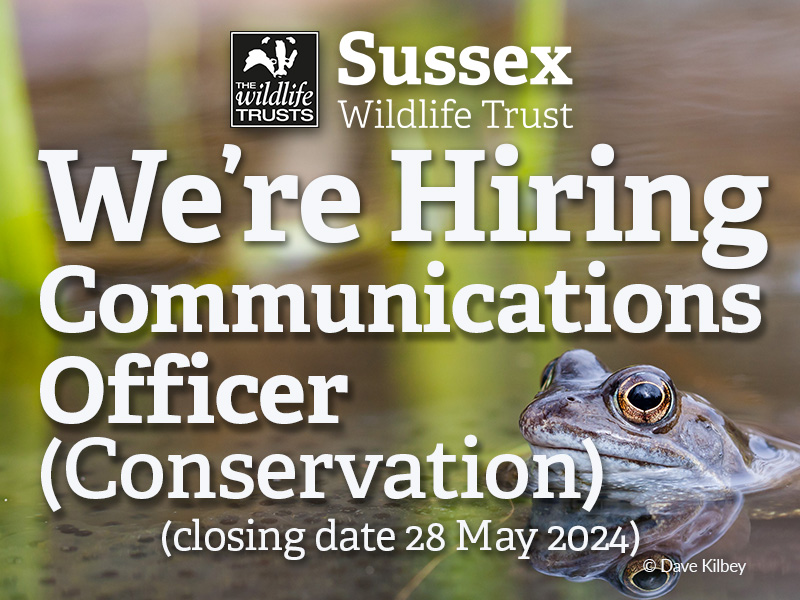 Would you like to work for Sussex Wildlife Trust? We are seeking an experienced and highly organised individual to run the Trust’s wildlife information service and deliver engaging communications on a wildlife and conservation theme sussexwildlifetrust.org.uk/get-involved/j… #SussexJobs