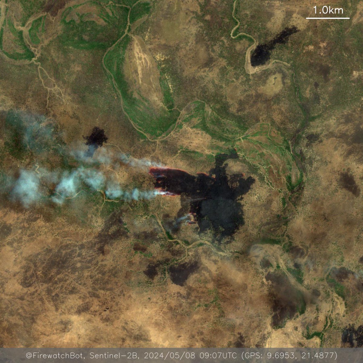 Fire detected from #Sentinel2

🗺 Place: Ndélé, Bamingui-Bangoran, #CentralAfricanRepublic
🕛 Date: 2024/05/08 09:07UTC

View location: maps.google.com/?q=9.695277951… (9.6953, 21.4877)