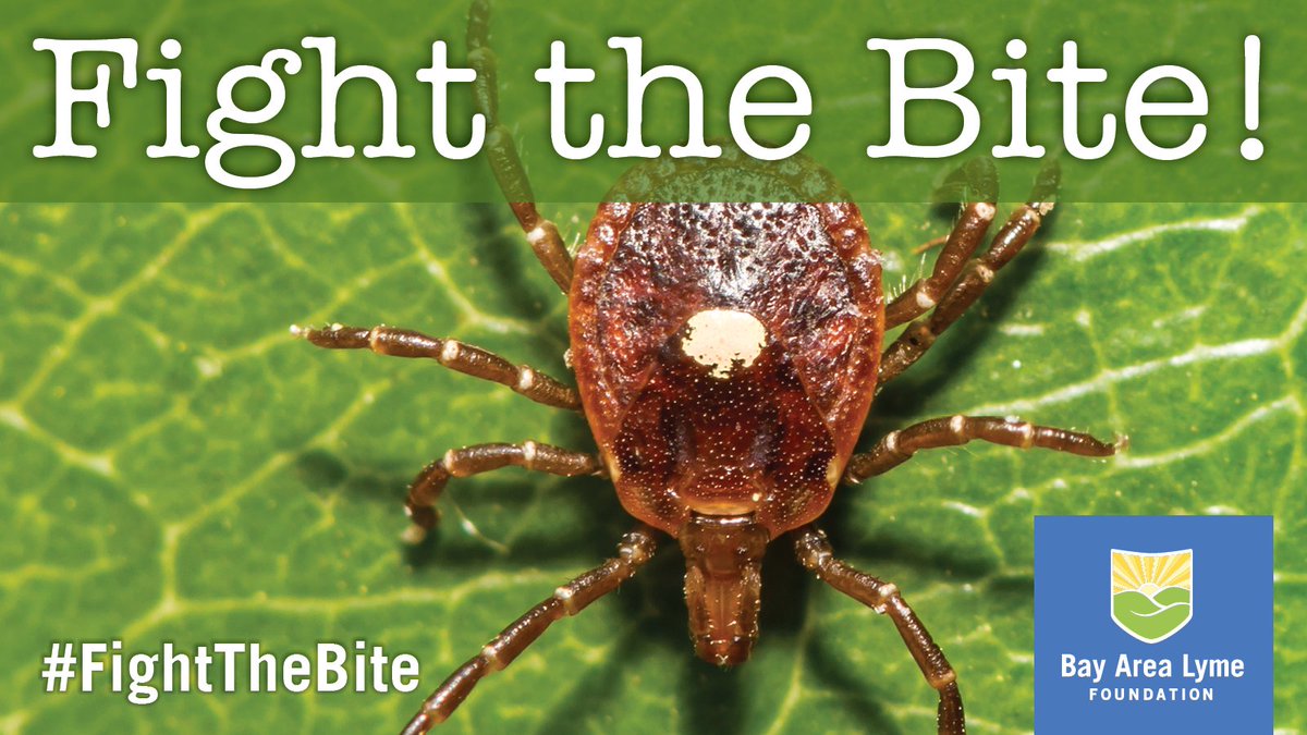 ICYMI, research shows that the Bourbon virus can be transmitted from the Lone Star tick within 15 minutes after attachment. Read the study to learn more about the emergence of the Bourbon virus: bit.ly/4cxzOGi #FightTheBite