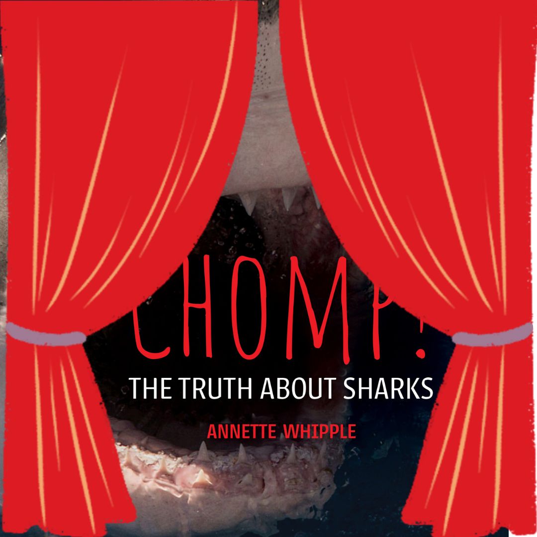 I can't wait to share with you the cover of Chomp! The Truth About Sharks! Soon! @ReycraftBooks