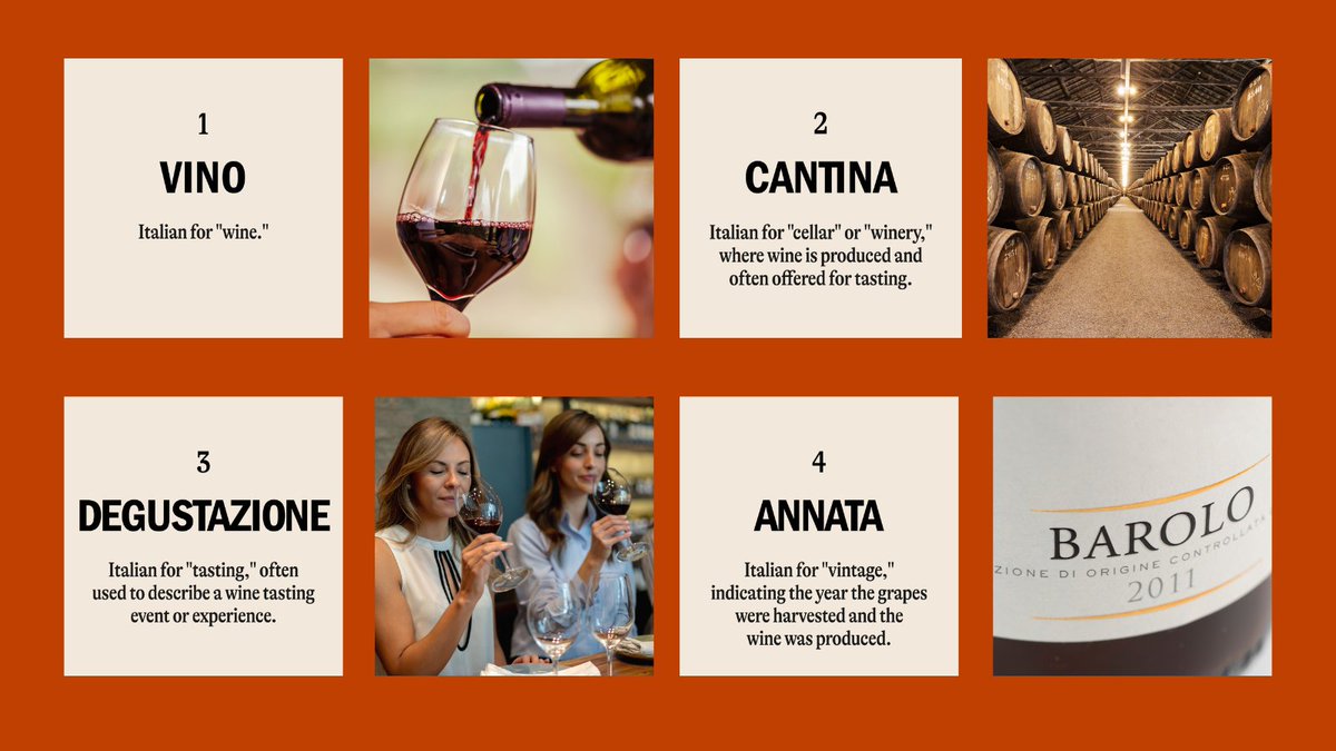 Vino vocabulary: THE TOP FOUR 
Key terms to elevate your tasting!

Do you know them? Do you know other words?

#italianculture #italianlanguage #culturalinsight #winetasting