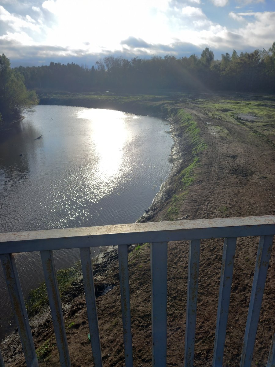 SOSDelta's tweet photo. El gobierno de la provincia de Buenos Aires terminó de destruir al río Luján:
👉Eliminó la vegetación de sus bordes, y 
👉modificó su curso. 
Perfecto ejemplo de intervención criminal cuyas consecuencias - como siempre- serán pagadas por los más pobres. https://t.co/5YpP99pgpz