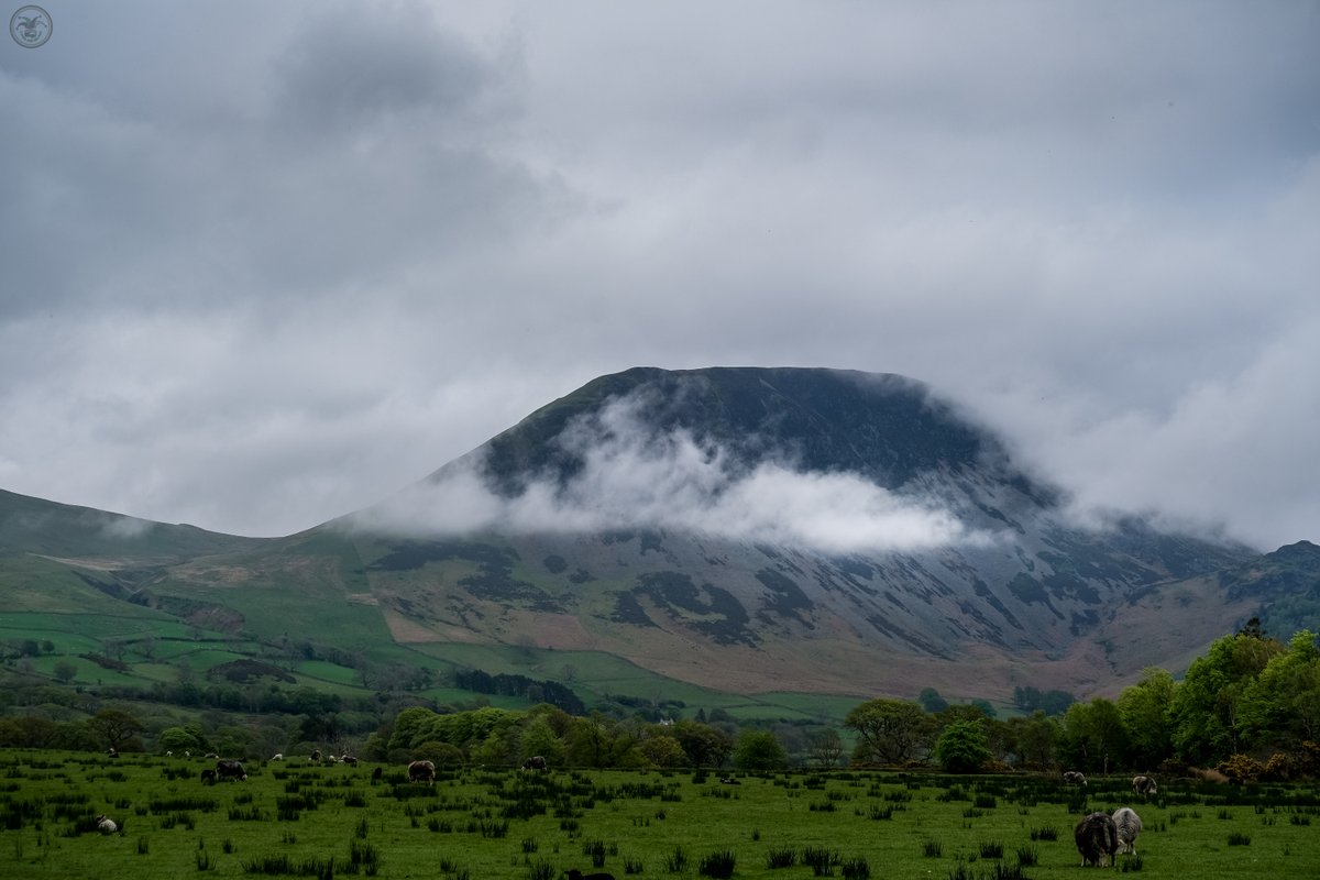 Halo of Clouds Ennerdale view across the fields. #photography #forest #landscapephotography #thelakedistrict #mountains #landscape #clouds #fujifilm #sunlight #viltrox #pathways #mountains #sheep #photographer #ennerdale