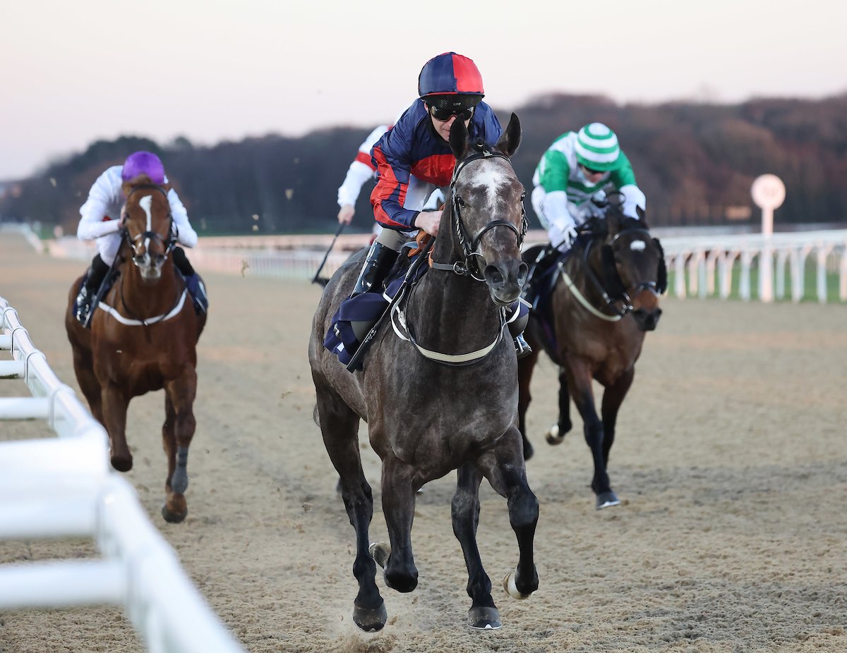 Bidding is live for the Tattersalls May Online Sale, where we are selling 𝑫𝒆𝒗𝒂𝒔𝒃𝒐𝒚  (Lot 20), a three-time winning gelding 🏇 Fresh from his victory on Saturday, we also have 𝑺𝒉𝒆𝒏𝒈𝒂𝒊 𝑬𝒏𝒌𝒊 (Lot 84) in the sale. #DevaRacing