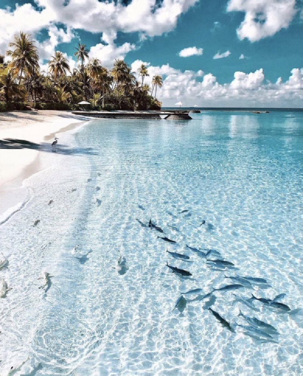 Beach in Maldives.