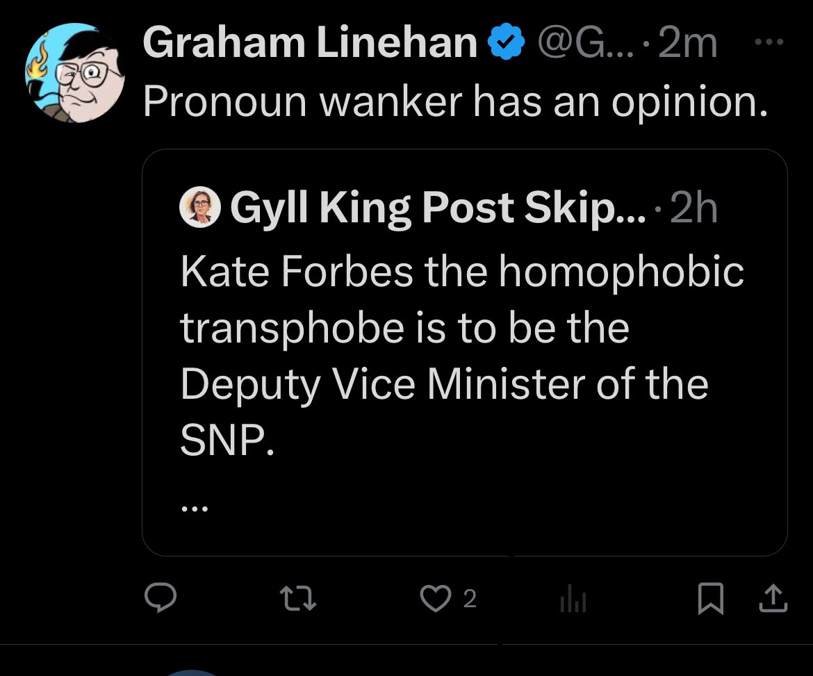 This afternoon this culture wars Muppet called me a pronouns wanker in support of the politician who opposed gay marriage. I'd just like to clarify that none of my opinions involve finding or celebrating good things about Hitler, the Nazis or ghettoes.