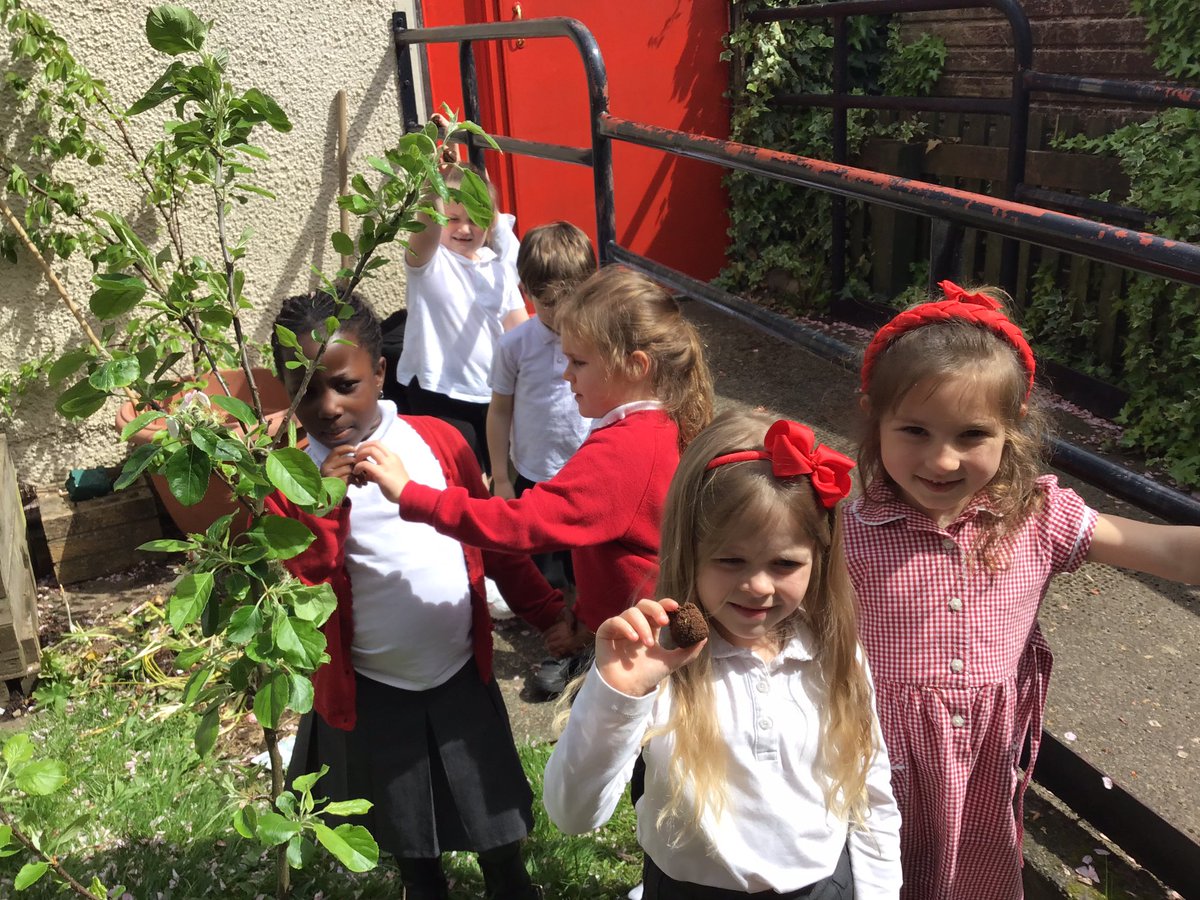 Today, as part of our Laudato Si Day, we discussed the importance of bees in our Ecosystem,🌍🌸🐝 We went outside and planted some wild pollinator flowers to help the bees do their very special job of helping our plants grow! #laudatosi #GlobalGoals 

@MrsH_STMB