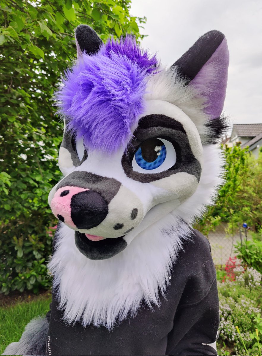 Miles Fur Studios tweet media