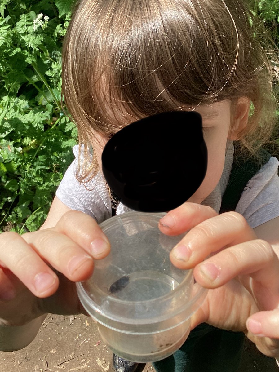 Broughton_Pri's tweet photo. This afternoon, Reception enjoyed hunting for mini beast in the forest school. #BPA_Rec #BPA_Science https://t.co/BeZqTRf2S8