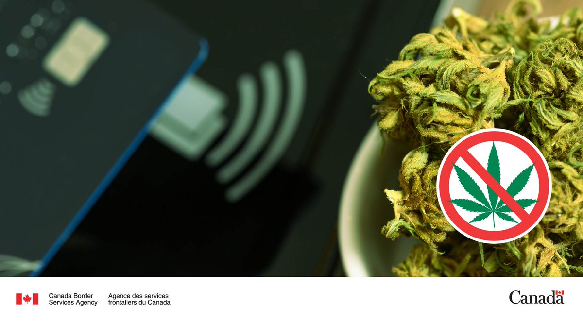 Ordering cannabis online? Remember, it is illegal to have #cannabis shipped from outside of Canada. All online orders must be made through an authorized retailer.   

Find authorized cannabis retailers in your province or territory: canada.ca/en/health-cana…

#KnowBeforeYouGo