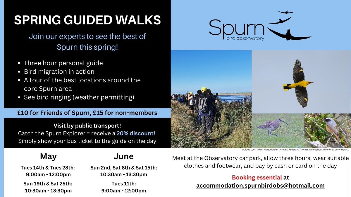 SPRING Guides Walks are back! Three hour personal guide Bird migration in action A tour of the best locations around the core Spurn area See bird ringing (weather permitting) Check out buff.ly/4aayyqq for dates, prices, and discounts!