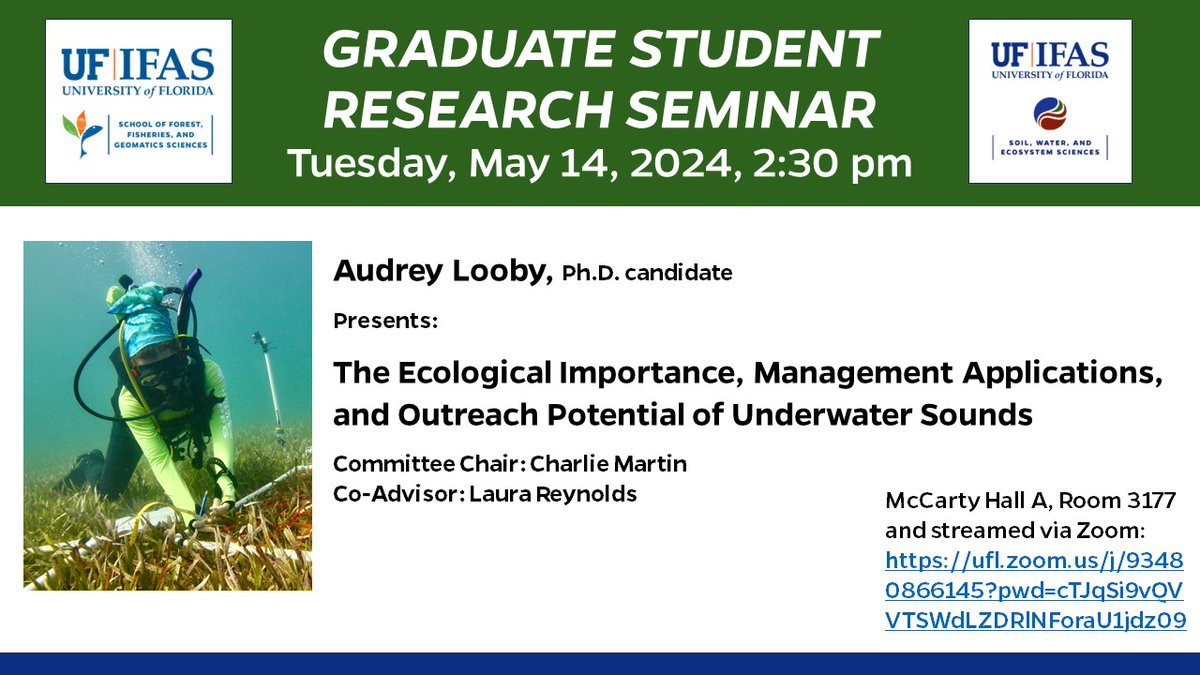 Join us on 5/14 at 2:30PM for @SFFGS_UF Ph.D. candidate Audrey Looby's seminar titled 'The Ecological Importance, Management Applications, and Outreach Potential of Underwater Sounds'.📍 McCarty Hall A, Room 3177, or live via Zoom: bit.ly/loobysounds