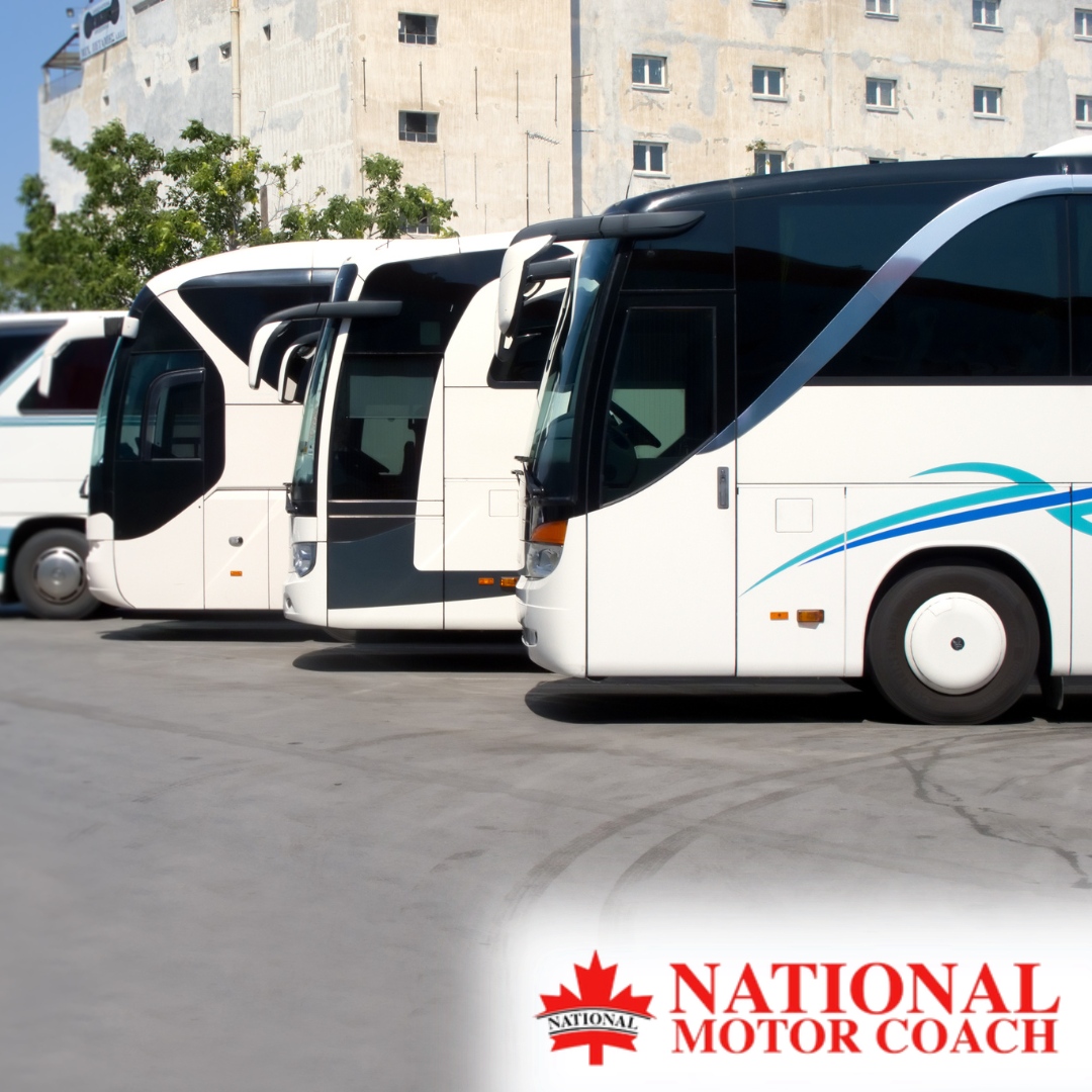 Transforming ordinary outings into extraordinary journeys. Step aboard and discover the difference. 🚌

🌐 nationalmotorcoach.com
.
.
.
#NationalMotorCoach #TransportationServices #Calgary #Banff #Edmonton #Richmond #BusCharter #PrivateBusCharter #CharterServices #Travel