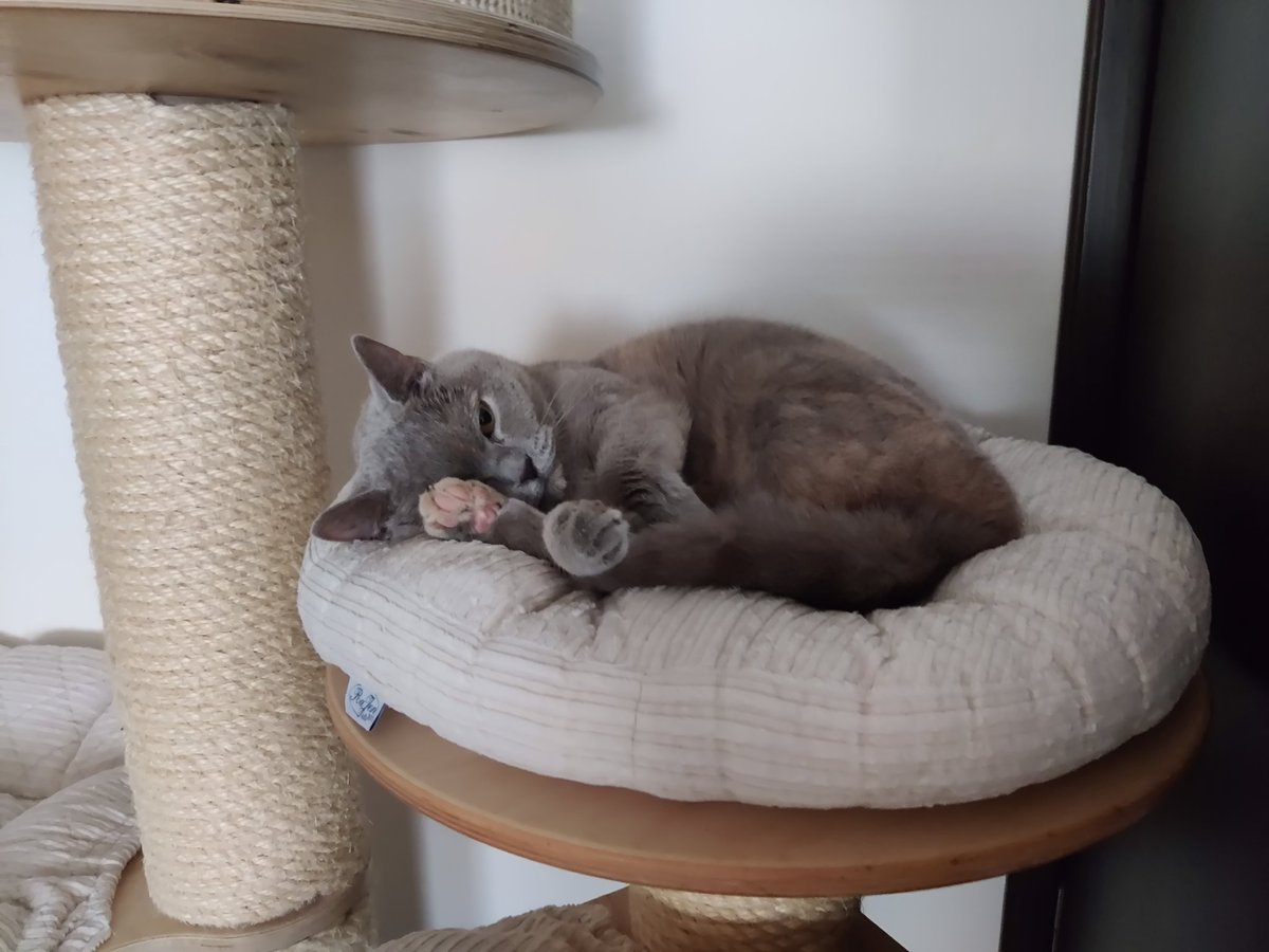 CZDaywalker's tweet photo. @mylifestyleblog Tak ještě jedna 🥰 https://t.co/jp2r3MoSK6