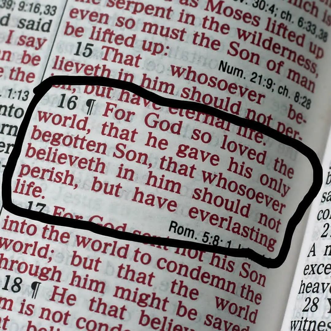 For God so loved the world that He gave His only begotten Son, that whoever believes in Him should not perish but have everlasting life. ~John 3:16 📖🙌🏽✝️😃 #Bible #JesusChrist #WordOfTheDay #VerseOfTheDay #bibleverse