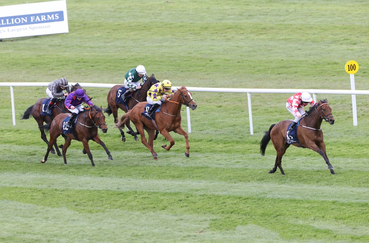 Tai Tam Bay is potentially looking to follow up his impressive win here at Naas last week this weekend. The 3yo trained by @HartyRacing features among the entries for the Declan Landy Fencing Handicap on Saturday Afternoon 👉shorturl.at/ablJY