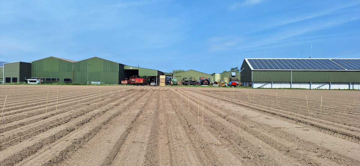 Spearhead Potatoes tweet media