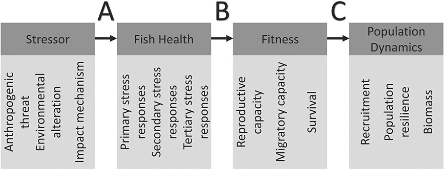 Human-induced threats pose major challenges to freshwater biodiversity. This review identifies the pathways involved, and considers ways to assess the effects of anthropogenic threats on fish health. Read here: doi.org/10.1093/conphy…