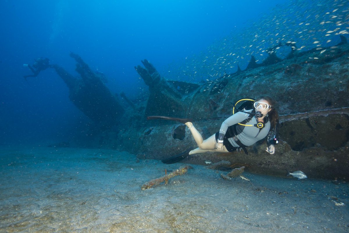 Dive into adventure off the shores of the #CrystalCoast! From marine life to shipwrecks, you’ll want to explore the hidden treasures below the waves. 🤿 🐠🐟 🌊Check out our new blog for insider tips and famous dive spots: ccncbeach.com/diving #MyCrystalCoast