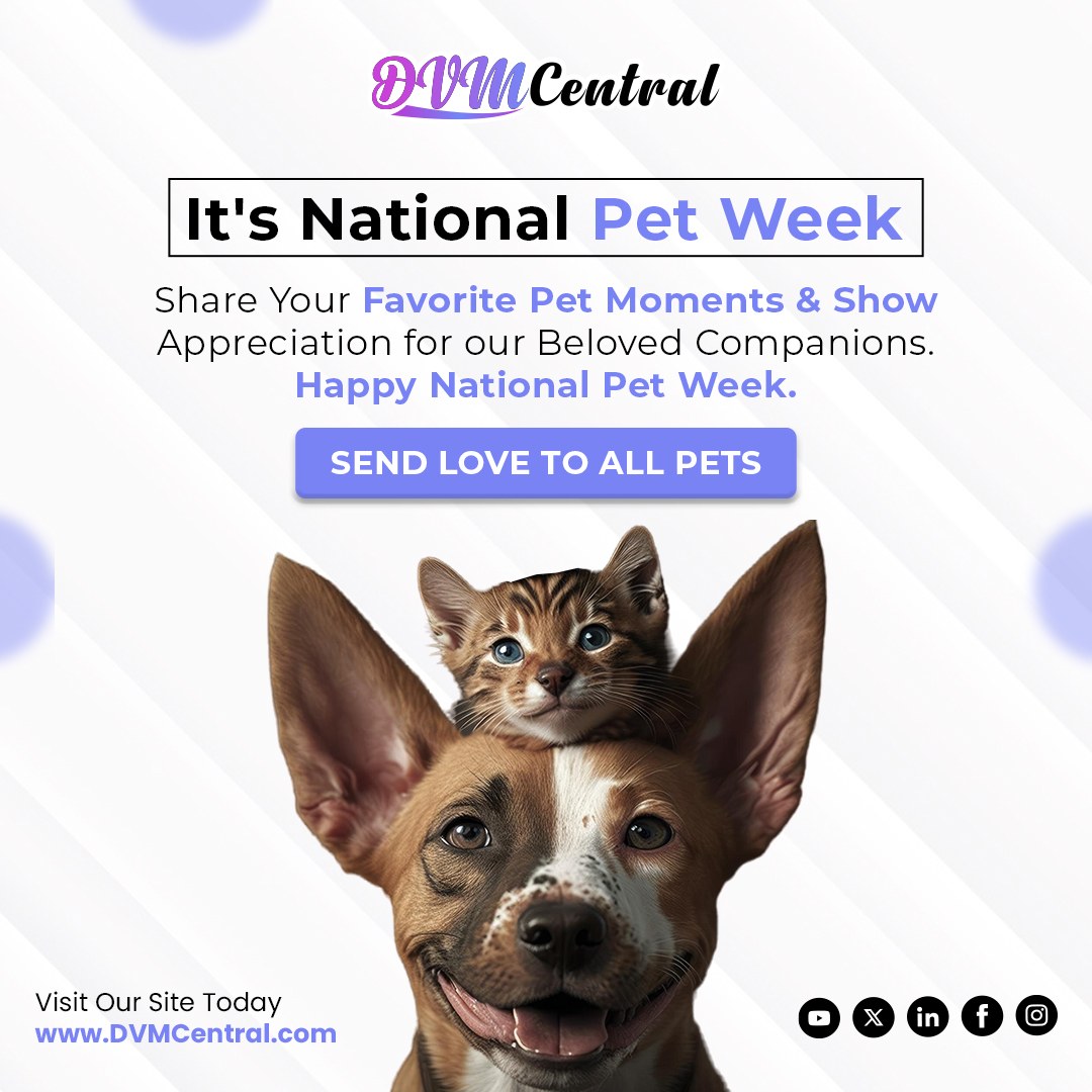 DVMCentral's tweet photo. Itβs National Pet Week. Join us in Honoring the Love, Joy, & Companionship our Furry Friends Bring into our Lives Every Day.
.
πVisit DVMCentral
https://t.co/2pYnDhXIsp
.
#nationalpetweek #nationalpetweek2024 #vetusa #animalhealthmarketplace #dvmcentral https://t.co/Nv9Y5FCgXB